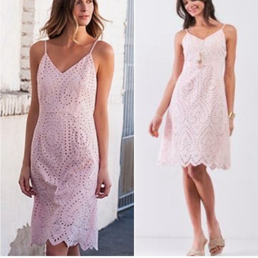 Sugar+Lips Dress | Lace Women’s Mid-Length Dress 🌸